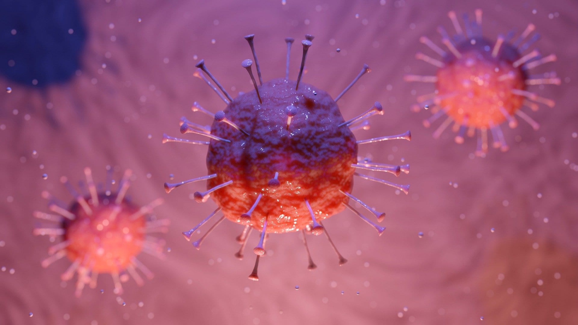 a round spiky orb, or close up the coronavirus