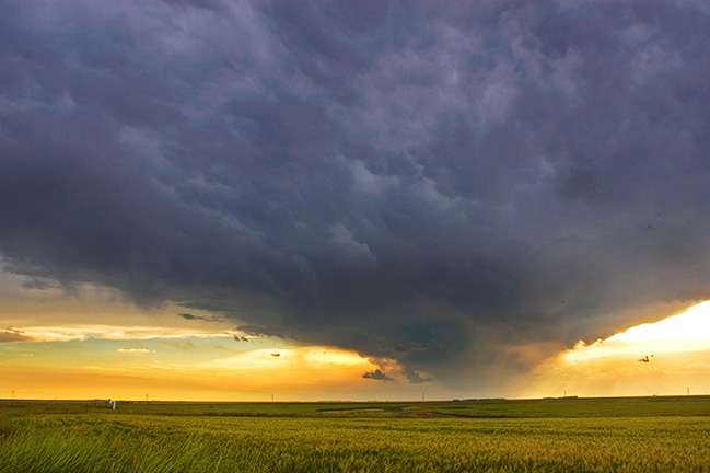 A massive thunderstorm hits a peaceful field, like the fear of a cancer diagnosis
