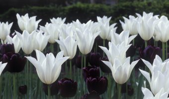 9 Ways to Encourage Someone With Cancer
