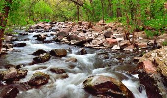 Immanuel: Hope With Us