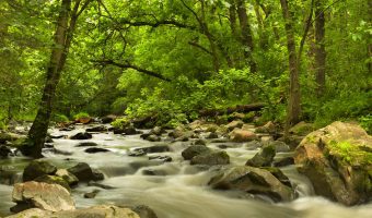 Immanuel: Hope With Us